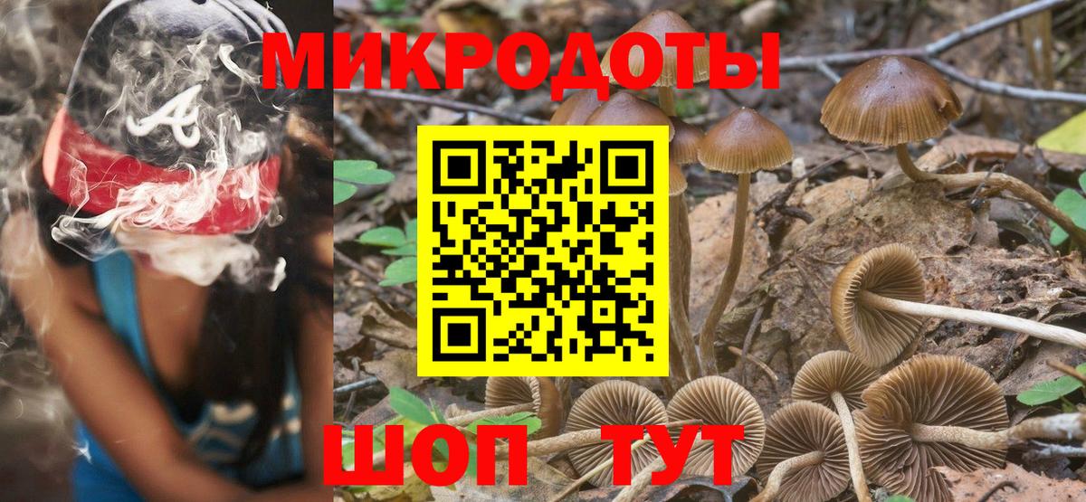 Псилоцибиновые грибы прущие грибы Малгобек